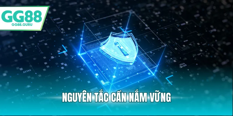 Chính Sách Bảo Mật – Tầm Quan Trọng Của Việc Bảo Vệ Dữ Liệu 2 Nguyên tắc cần nắm vững